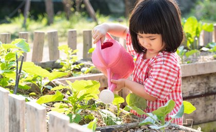 A young girl watering plants